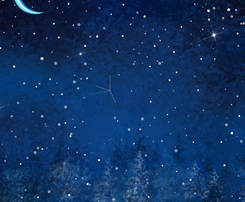 森林雪景.png